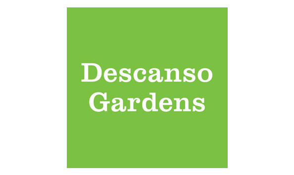 Big image mini magick20190331 58459 zse6d2