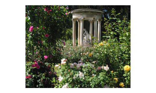 Big image mini magick20190331 58459 1qpa62g