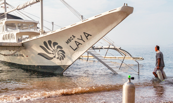 Big image mini magick20190402 1554 1bducyv