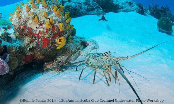 Big image mini magick20190402 1554 16d5jeg