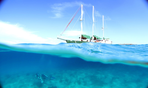 Big image mini magick20190402 1554 1fotkt2