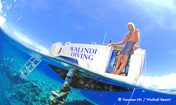 Big image mini magick20190402 1554 amwtwq