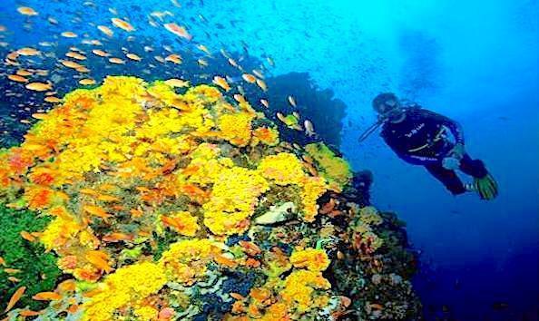 Big image mini magick20190402 1554 58f2bm