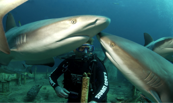 Big image mini magick20190402 1554 cem7dh