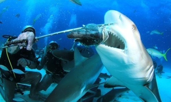 Big image mini magick20190402 1554 8ym5wb