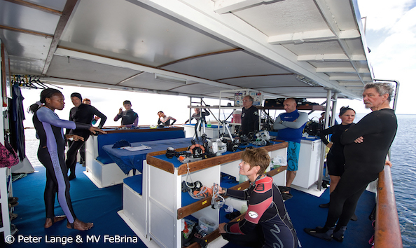 Big image mini magick20190402 1554 nvtr3c