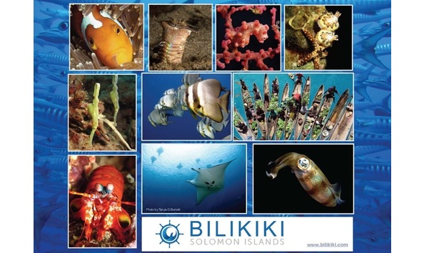 Big image mini magick20190402 1554 3uxtmi