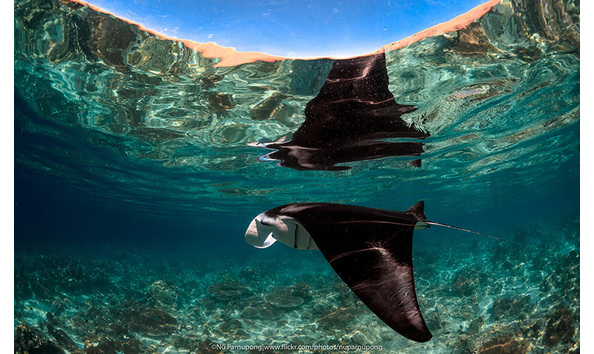 Big image mini magick20190402 1554 1bp5i3l