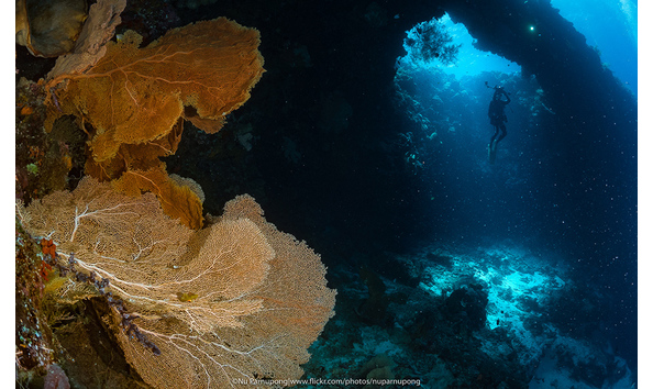 Big image mini magick20190402 1554 10olnjw