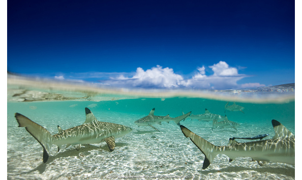 Big image mini magick20190402 1554 1uork3p