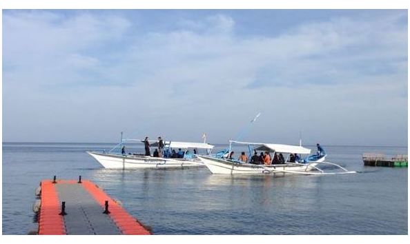 Big image mini magick20190402 1554 2cflip