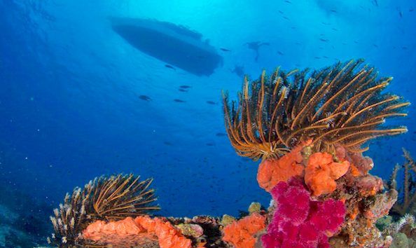 Big image mini magick20190402 1554 1pp9chc