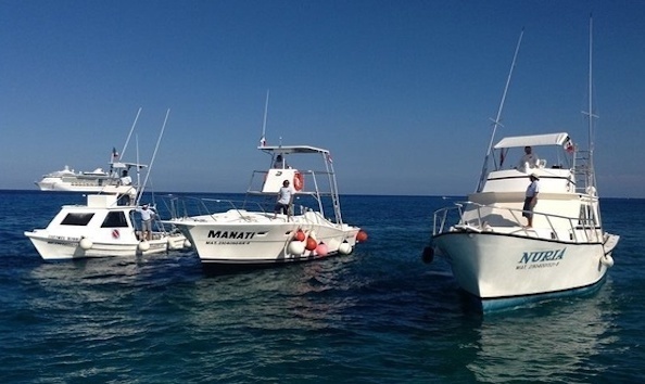 Big image mini magick20190402 1554 1xiw0rv