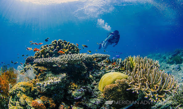 Big image mini magick20190402 1554 1lmwbb4