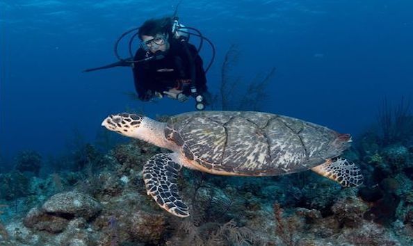 Big image mini magick20190402 1554 g78a5a