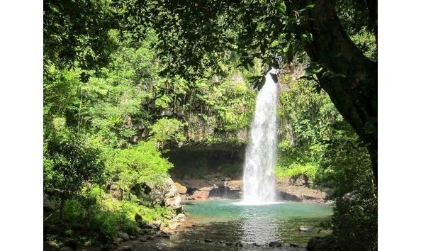 Big image mini magick20190402 1554 4abxp8