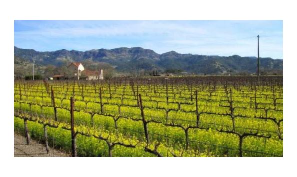 Big image a026 calistoga napa valley 2019.3 page 1 image 0003