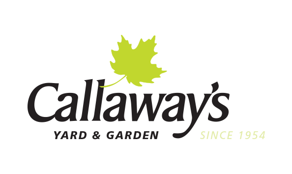 Big image mini magick20190406 33344 fy8fv2