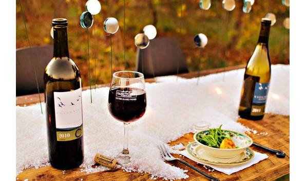 Big image sanctuary vineyard 2