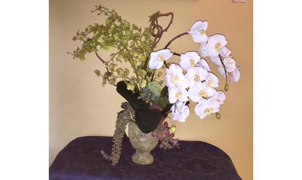 Big image robin dorman orchid photo 1