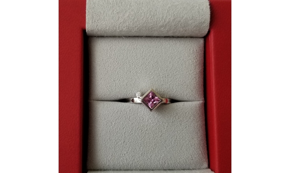 Big image 20190411 110429