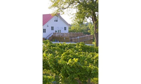 Big image mallow run winery 80