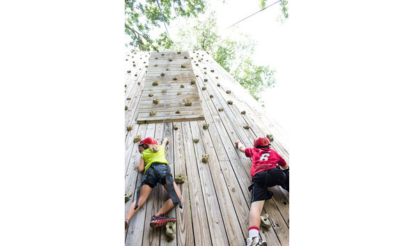 Big image deer run 3