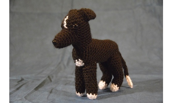 Big image greyhound 1