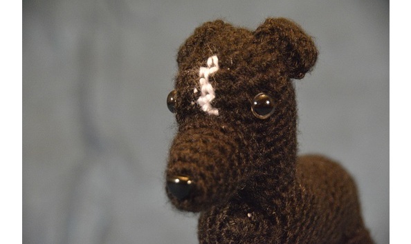 Big image greyhound 2