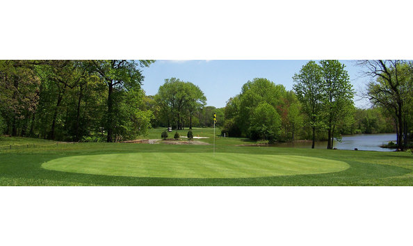 Big image st. peters golf   green