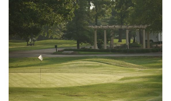 Big image little course 2