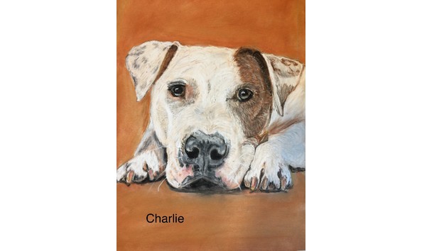 Big image new white dog