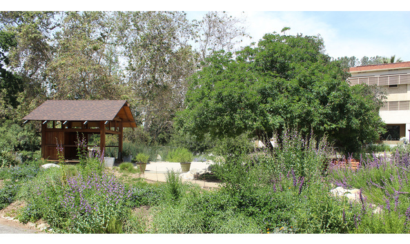 Big image big image johnson oval 1