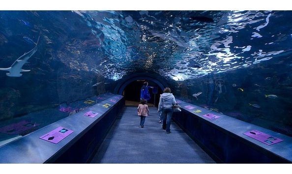 Big image shedd   underwater