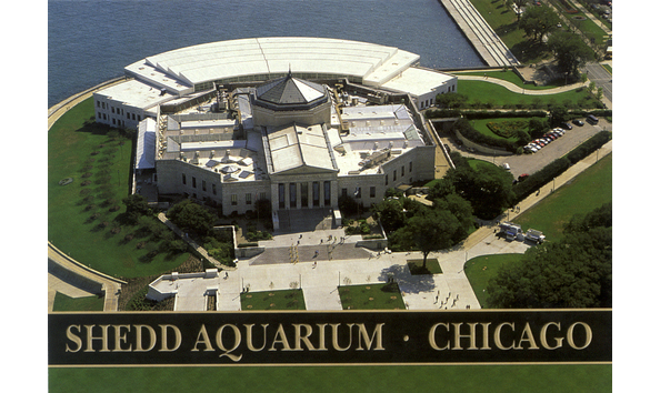 Big image shedd