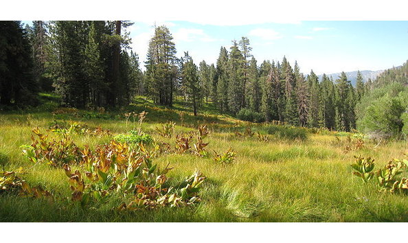 Big image southforkmeadows