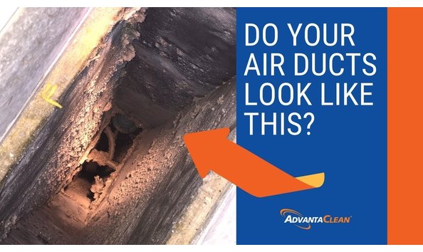 Big image advanta   duct