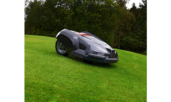 Big image gizmow   pic 1