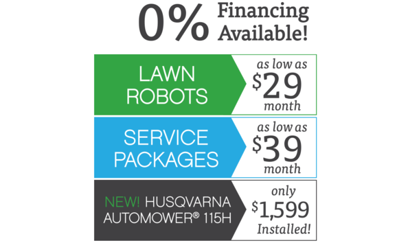 Big image gizmow   prices