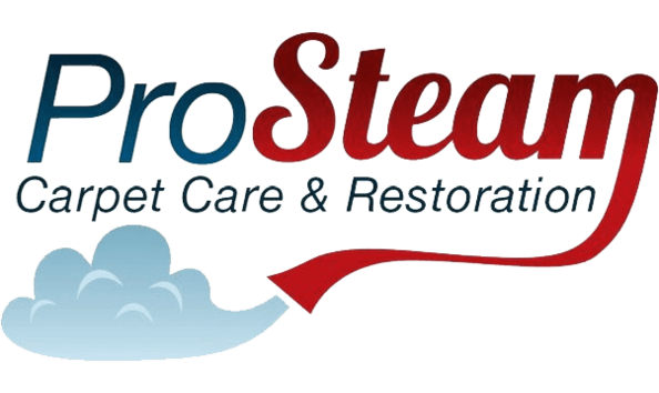 Big image prosteam   logo