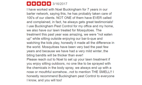 Big image buckingham   yelp