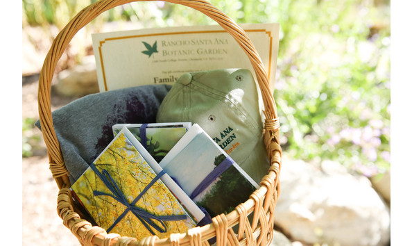 Big image img 7028 2