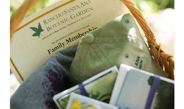 Big image img 7031 2