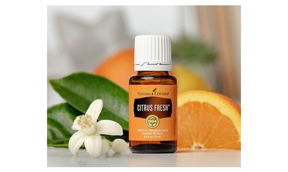 Big image orange oil