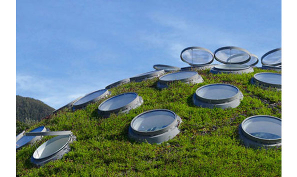 Big image 05 the california academy of sciences living roof