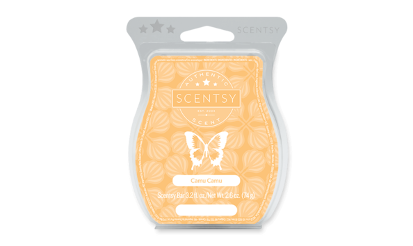 Big image scentsy bar