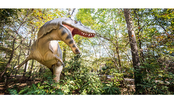 Big image durham life