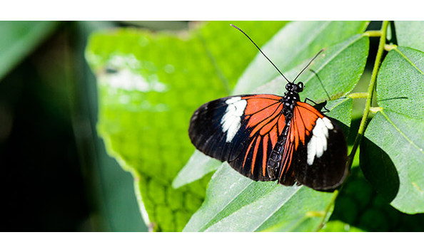 Big image durham life 2