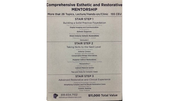 Big image mentorship