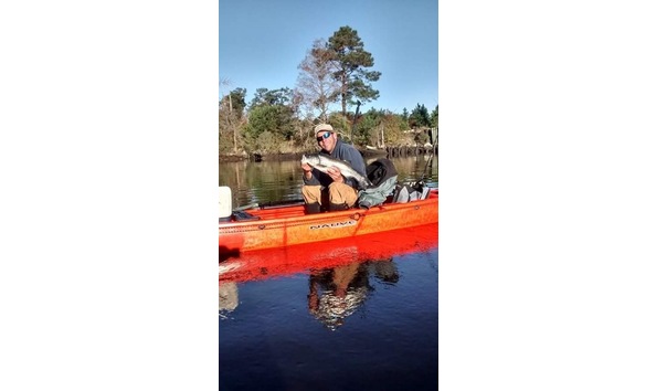 Big image daniel george